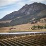California Polytechnic State University, San Luis Obispo