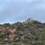 Canyon Ranch