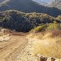 Canyon Ranch