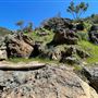Canyon Ranch