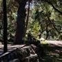 Canyon Ranch
