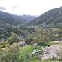 Canyon Ranch