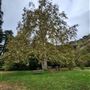 Franklin Canyon Park - Santa Monica Mountains Conservancy - SMMC