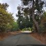 Franklin Canyon Park - Santa Monica Mountains Conservancy - SMMC