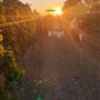 Santa Barbara Wine Country