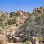 160 Acres