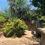 Los Angeles Zoo & Botanical Gardens - LA Zoo