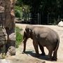 Los Angeles Zoo & Botanical Gardens - LA Zoo