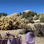 Boulder Gardens Sanctuary
