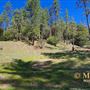 Idyllwild Regional Park