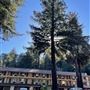Historic Brookdale Lodge - Santa Cruz Mountains