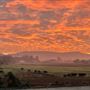 Petaluma Hill Farm