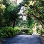 Meadowood Resort Napa Valley