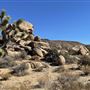 1950's Desert Dream Rec Cabin