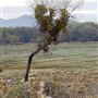 Kemper Campbell Ranch