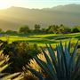 Palm Desert