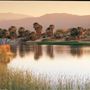Palm Desert