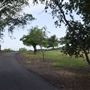 Olive Ranch