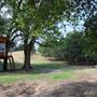 Olive Ranch