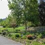 Olive Ranch