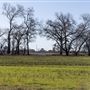 DLX Ranch