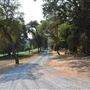 Sinclair Family Farm