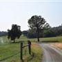Sinclair Family Farm