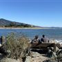 Bolinas