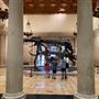 Museum of Natural History, Los Angeles