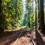 Great Redwood Trail Agency (fka North Coast Rail Authority)