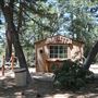 Camp Cedar Lake