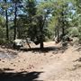 Camp Cedar Lake