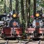 Yosemite Mountain Sugar Pine Railroad