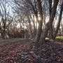 Feather River Parkway