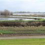 Sutter Bypass Wildlife Area - California Department of Fish & Wildlife (CDFW)