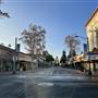 Old Towne Orange Historic District