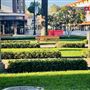 Old Towne Orange Historic District