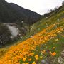 Merced River