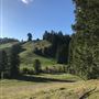 Browder Ranch