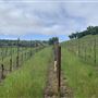 Halter Ranch