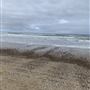 Oceano Dunes State Vehicular Recreation Area (SVRA) / Pismo State Beach (SB)