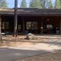 McArthur-Burney Falls Memorial State Park (SP)