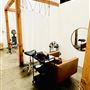 Virgo Salon