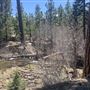Manzanita Lake