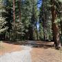 Mt. Shasta City Park