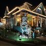 The Vogel Victorian
