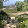 Catalina View Gardens aka Point View