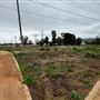 San Gabriel River Park