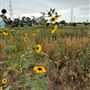 San Gabriel River Park
