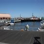 Port of Los Angeles - POLA / West Harbor / AltaSea Research Campus / Wilmington Waterfront Promenade